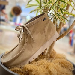 BEAMS（ビームス）Clarks ORIGINALS / 別注 Wallabee Boot GORE-TEX（R 