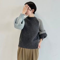 photolog_image