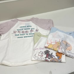 photolog_image