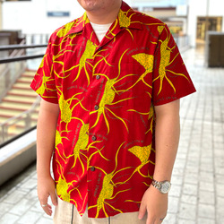 photolog_image