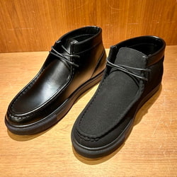 43310059331_C_1.jpg
