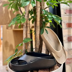 BEAMS（ビームス）NIKE / Calm Flip Flop KHAKI/KHAKI（シューズ