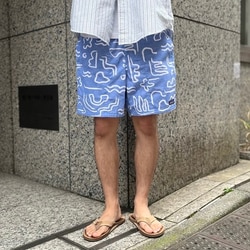 BEAMS（ビームス）patagonia / ファンホッガーズ ショーツ 6