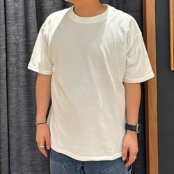 BEAMS T(ビームスT)FRUIT OF THE LOOM / Half Big T-shirt(T BEAMS T(ビームスT)FRUIT OF THE LOOM / Half Big T-shirt(T