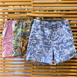 BEAMS（ビームス）patagonia / ファンホッガーズ ショーツ 6