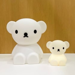 photolog_image