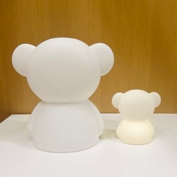 photolog_image