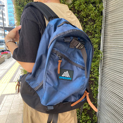 BEAMS BOY（ビームス ボーイ）【別注】GREGORY / VINTAGE DAY PACK NAVY（バッグ リュック・バックパック）通販｜ BEAMS