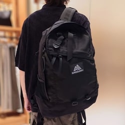 BEAMS（ビームス）【別注】GREGORY / Mighty Day Lite 30L（バッグ リュック・バックパック）通販｜BEAMS