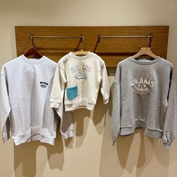 photolog_image
