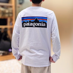 BEAMS（ビームス）patagonia / P-6 ロゴ ロング Tシャツ（T