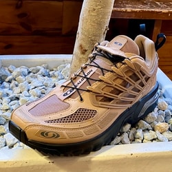 BEAMS（ビームス）SALOMON / ACS PRO（シューズ スニーカー