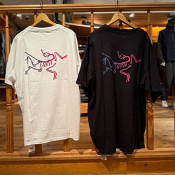 BEAMS（ビームス）ARC'TERYX / Kragg Cotton Logo Short Sleeve