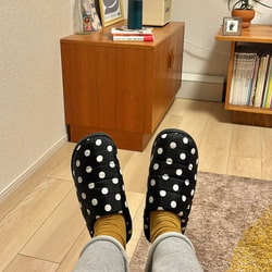 photolog_image