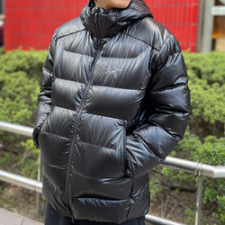 BEAMS（ビームス）ARC'TERYX / セリウム SV フーディ（ブルゾン