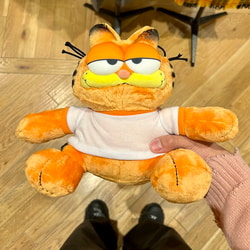 photolog_image
