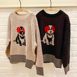 photolog_image