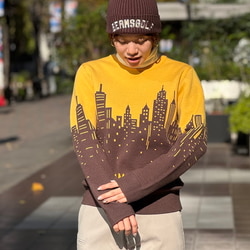美品】ビームスゴルフ セーター レッド ロゴワッペン 裏地付き
