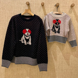 photolog_image