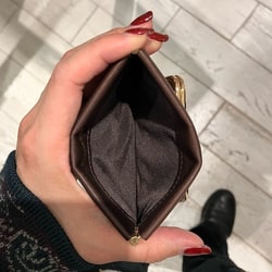 BEAMS BOY (BEAMS BOY) W Purse Wallet (Wallets and