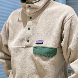 BEAMS BEAMS / Synchilla Snap patagonia Pullover (Blouson