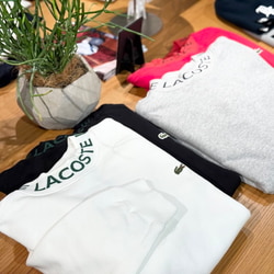 BEAMS GOLF（ビームス ゴルフ）〈MEN〉【別注】LACOSTE / ロゴ