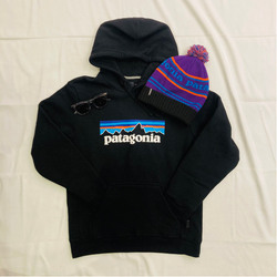 BEAMS（ビームス）patagonia / P-6 ロゴ アップライザル