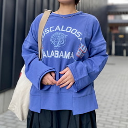 photolog_image