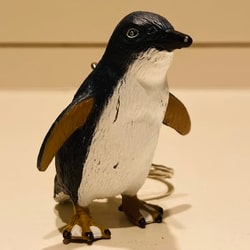 photolog_image
