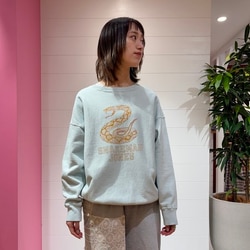 BEAMS BOY（ビームス ボーイ）【7/3新規値下げ】【別注】BOW WOW