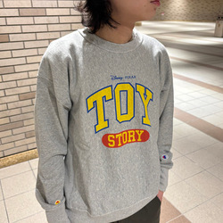 photolog_image