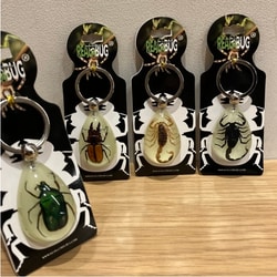 photolog_image