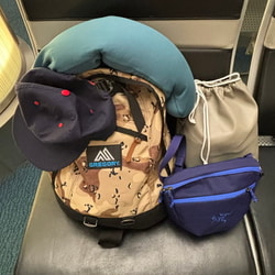 BEAMS（ビームス）ARC'TERYX / MANTIS 2 Waist Pack（バッグ