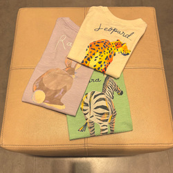 photolog_image