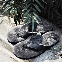 EXCLUSIVE】UGG(R) / CLASSIC SANDAL