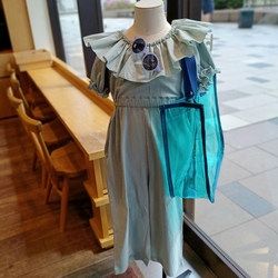 photolog_image