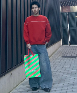 styling_image