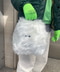 thumbail9