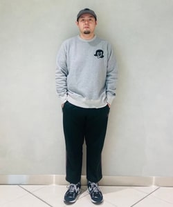 styling_image