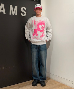 styling_image