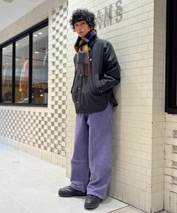 styling_image