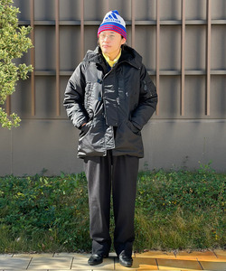 styling_image