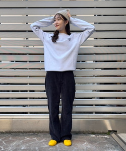 styling_image