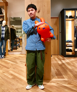 styling_image