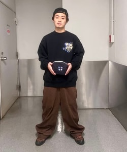 styling_image
