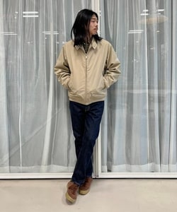 styling_image