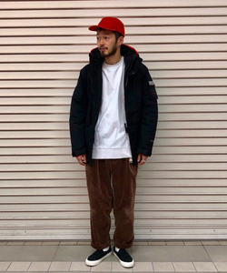 styling_image