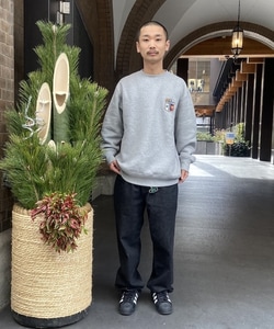 styling_image