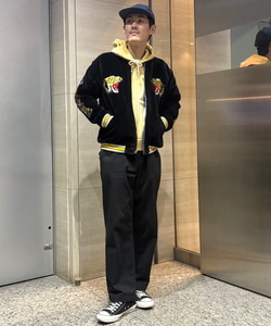 styling_image