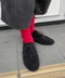 thumbail6